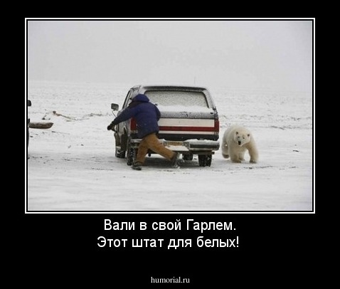 Вали в свой Гарлем. Этот штат для белых! 