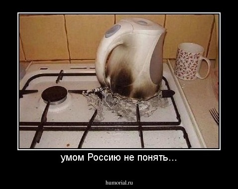 умом Россию не понять...
