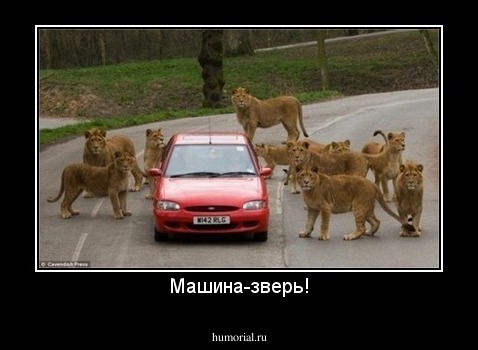 Машина-зверь!