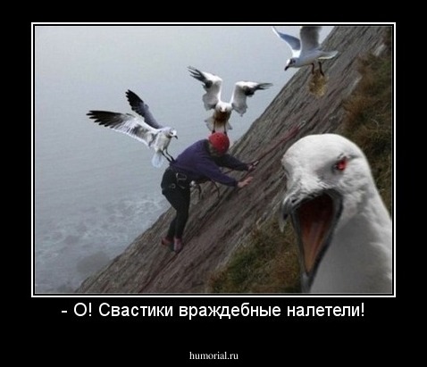 - О! Свастики враждебные налетели!