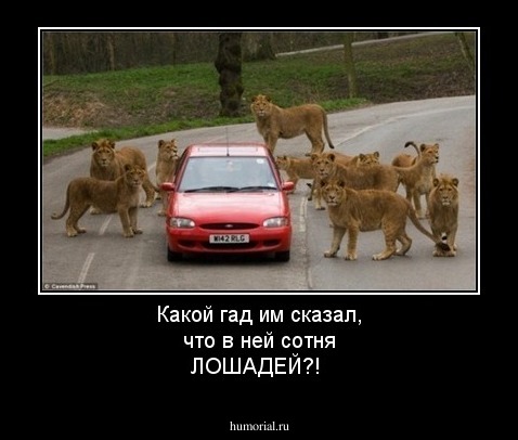 Какой гад им сказал, что в ней сотня ЛОШАДЕЙ?!
