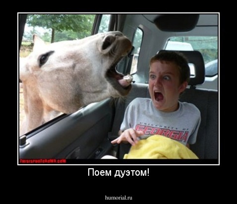 Поем дуэтом!