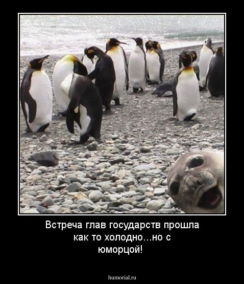 Встреча глав государств прошла как то холодно...но с юморцой!