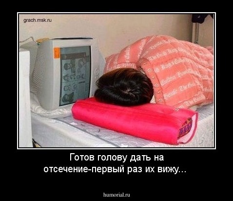 Готов голову дать на отсечение-первый раз их вижу...
