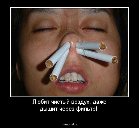 Любит чистый воздух, даже дышит через фильтр!