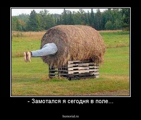 - Замотался я сегодня в поле...