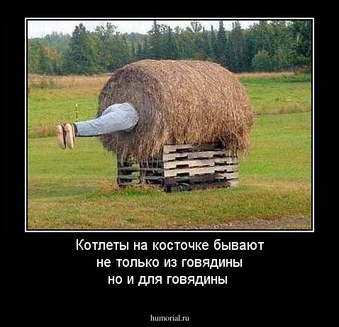 Котлеты на косточке бывают не только из говядины но и для говядины