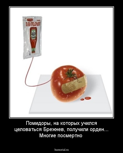 Помидоры, на которых учился целоваться Брежнев, получили орден... Многие посмертно