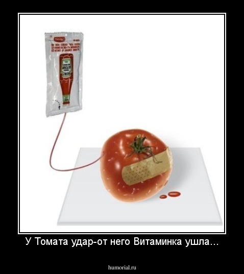 У Томата удар-от него Витаминка ушла...