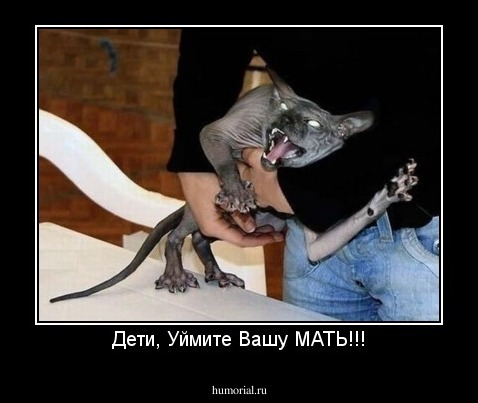 Дети, Уймите Вашу МАТЬ!!!