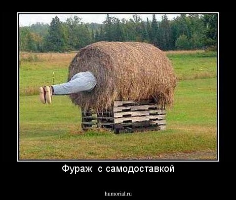 Фураж  с самодоставкой