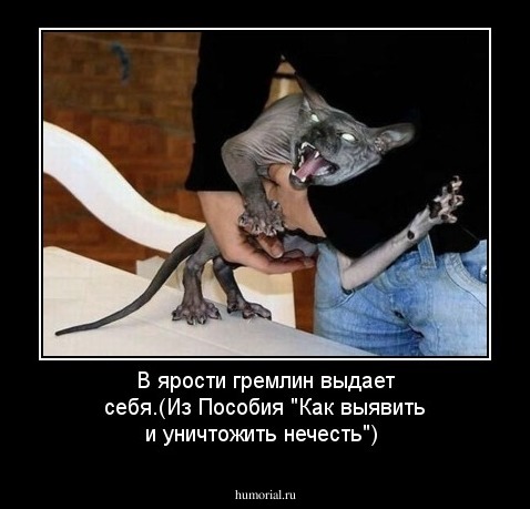 В ярости гремлин выдает себя.(Из Пособия "Как выявить и уничтожить нечесть")