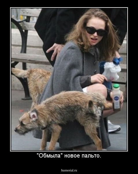 "Обмыла" новое пальто.