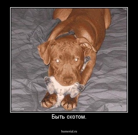 Быть скотом.