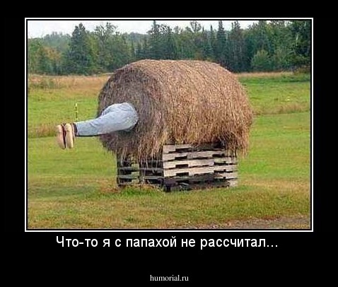 Что-то я с папахой не рассчитал... 