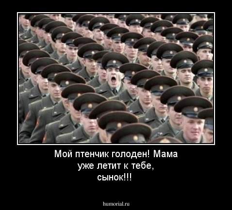 Мой птенчик голоден! Мама уже летит к тебе, сынок!!!