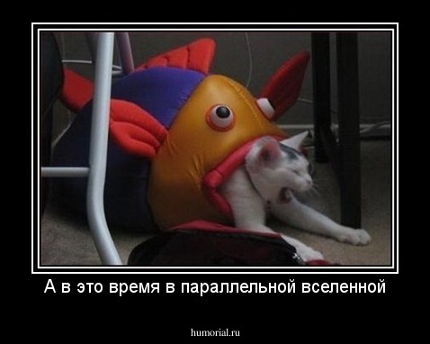 А в это время в параллельной вселенной
