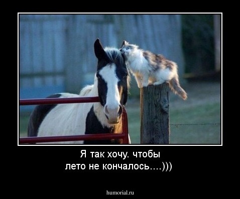 Я так хочу. чтобы лето не кончалось....)))