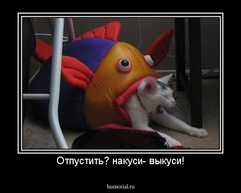 Отпустить? накуси- выкуси!