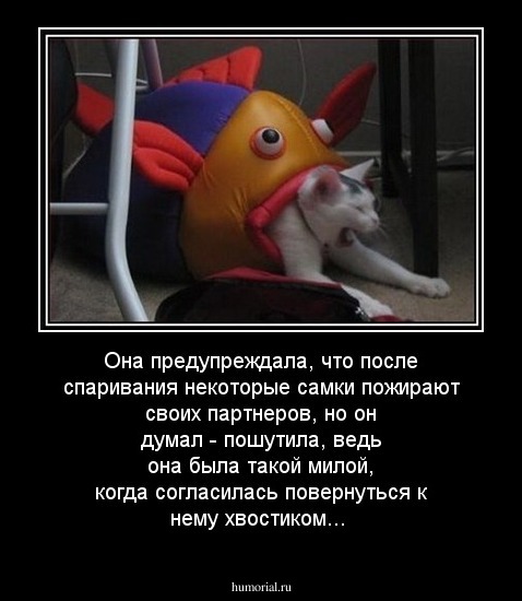 Она предупреждала, что после спаривания некоторые самки пожирают своих партнеров, но он думал - пошутила, ведь она была такой милой,  когда согласилась повернуться к нему хвостиком...
