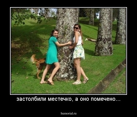 застолбили местечко, а оно помечено...