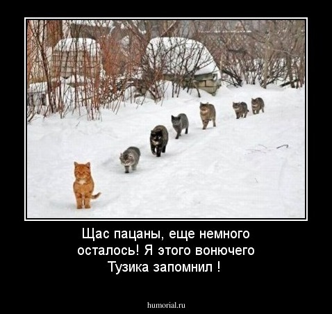 Щас пацаны, еще немного осталось! Я этого вонючего Тузика запомнил !