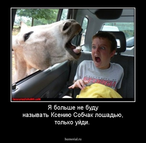 Я больше не буду называть Ксению Собчак лошадью, только уйди.