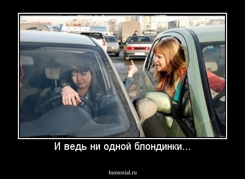 И ведь ни одной блондинки...
