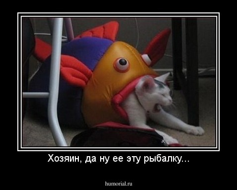 Хозяин, да ну ее эту рыбалку...