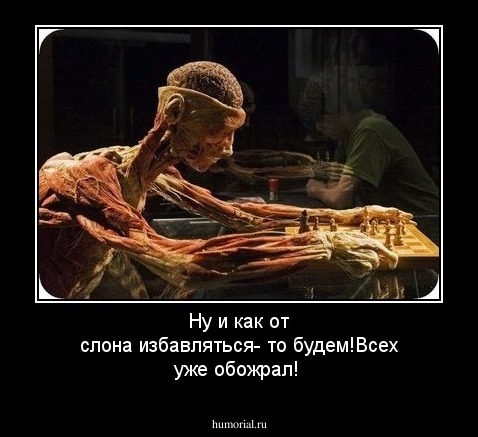 Ну и как от слона избавляться- то будем!Всех уже обожрал!
