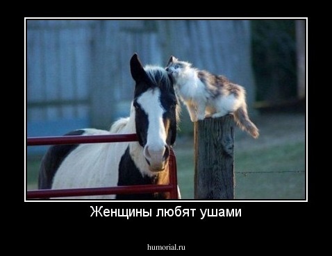 Женщины любят ушами