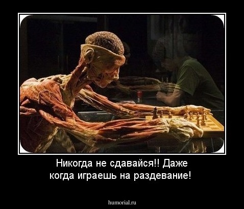 Никогда не сдавайся!!
Даже когда играешь на раздевание!