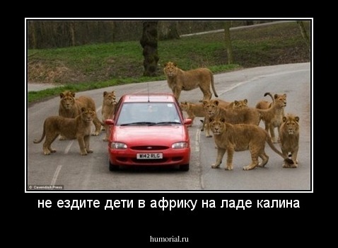 не ездите дети в африку на ладе калина