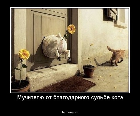 Мучителю от благодарного судьбе котэ