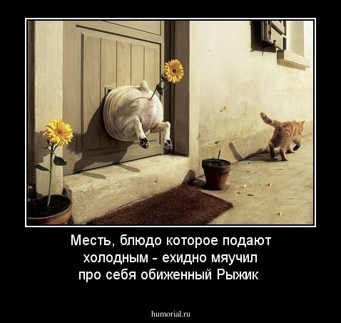 Месть, блюдо которое подают холодным - ехидно мяучил про себя обиженный Рыжик