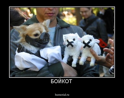 БОЙКОТ 