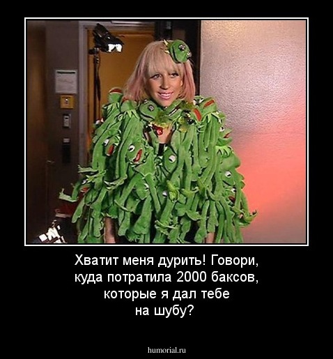 Хватит меня дурить! Говори, куда потратила 2000 баксов, которые я дал тебе на шубу?