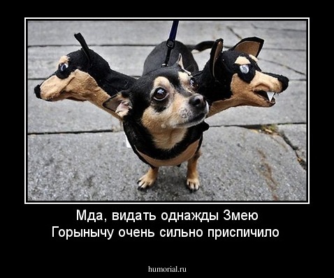 Мда, видать однажды Змею Горынычу очень сильно приспичило 
