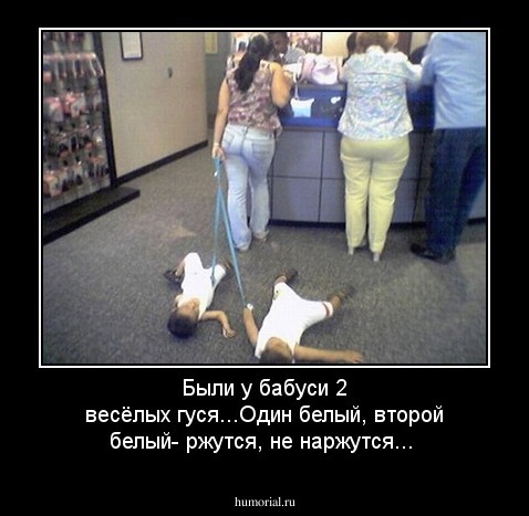 Были у бабуси 2 весёлых гуся...Один белый, второй белый- ржутся, не наржутся...