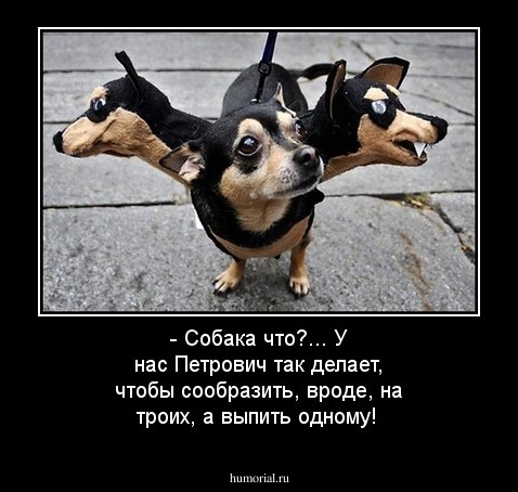 - Собака что?... У нас Петрович так делает, чтобы  сообразить, вроде, на троих, а выпить одному!