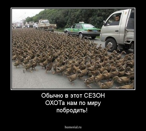 Обычно в этот СЕЗОН ОХОТа нам по миру побродить!