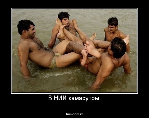 В НИИ камасутры.