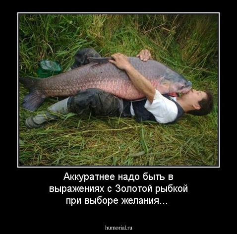 Аккуратнее надо быть в выражениях с Золотой рыбкой при выборе желания...