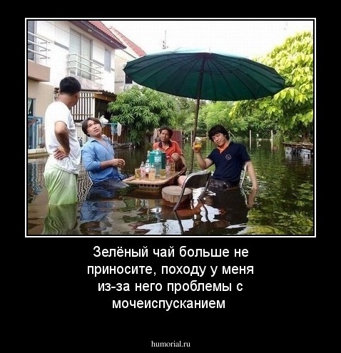 Зелёный чай больше не приносите, походу у меня из-за него проблемы с мочеиспусканием