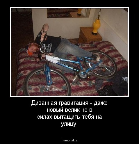 Диванная гравитация - даже новый велик не в силах  вытащить тебя на улицу