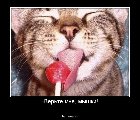 -Верьте мне, мышки!