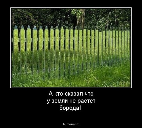 А кто сказал что у земли не растет борода!