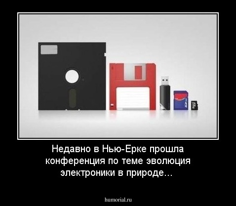 Недавно в Нью-Ерке прошла конференция по теме эволюция электроники в природе...