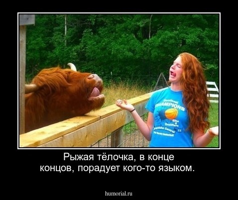 Рыжая тёлочка, в конце концов, порадует кого-то языком.