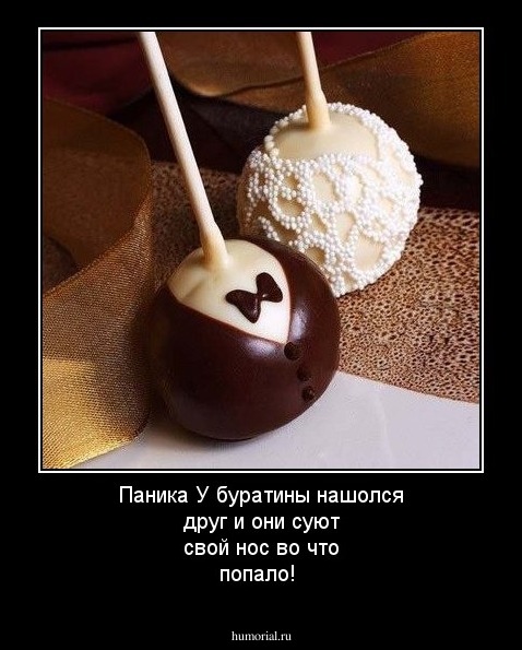 Паника У буратины нашолся друг и они суют свой нос во что попало!